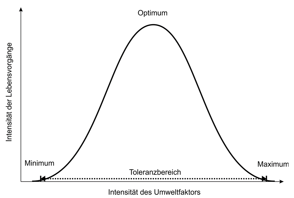 Glockenkurve: Intensität der Lebensvorgänge vs. Intensität des Umweltfaktors mit Minimum, Optimum, Maximum und Toleranzbereich.